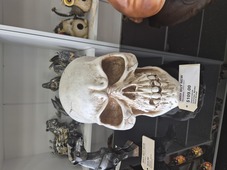Large Skull Money Box