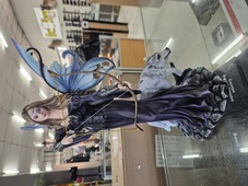 Fairy Warrior with Wolf