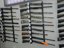 Assorted Shotguns