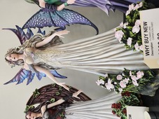 Flower Land Carnation Fairy
